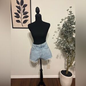 wild fable Light Blue High-Rise Distressed Jean Shorts